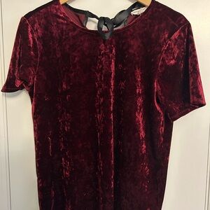 beachlunchlounge Velvet Red Short Sleeve Top